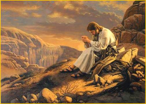 Im�genes integradas 1