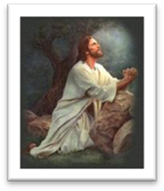 Un dibujo de una persona

Descripci�n generada autom�ticamente con confianza baja